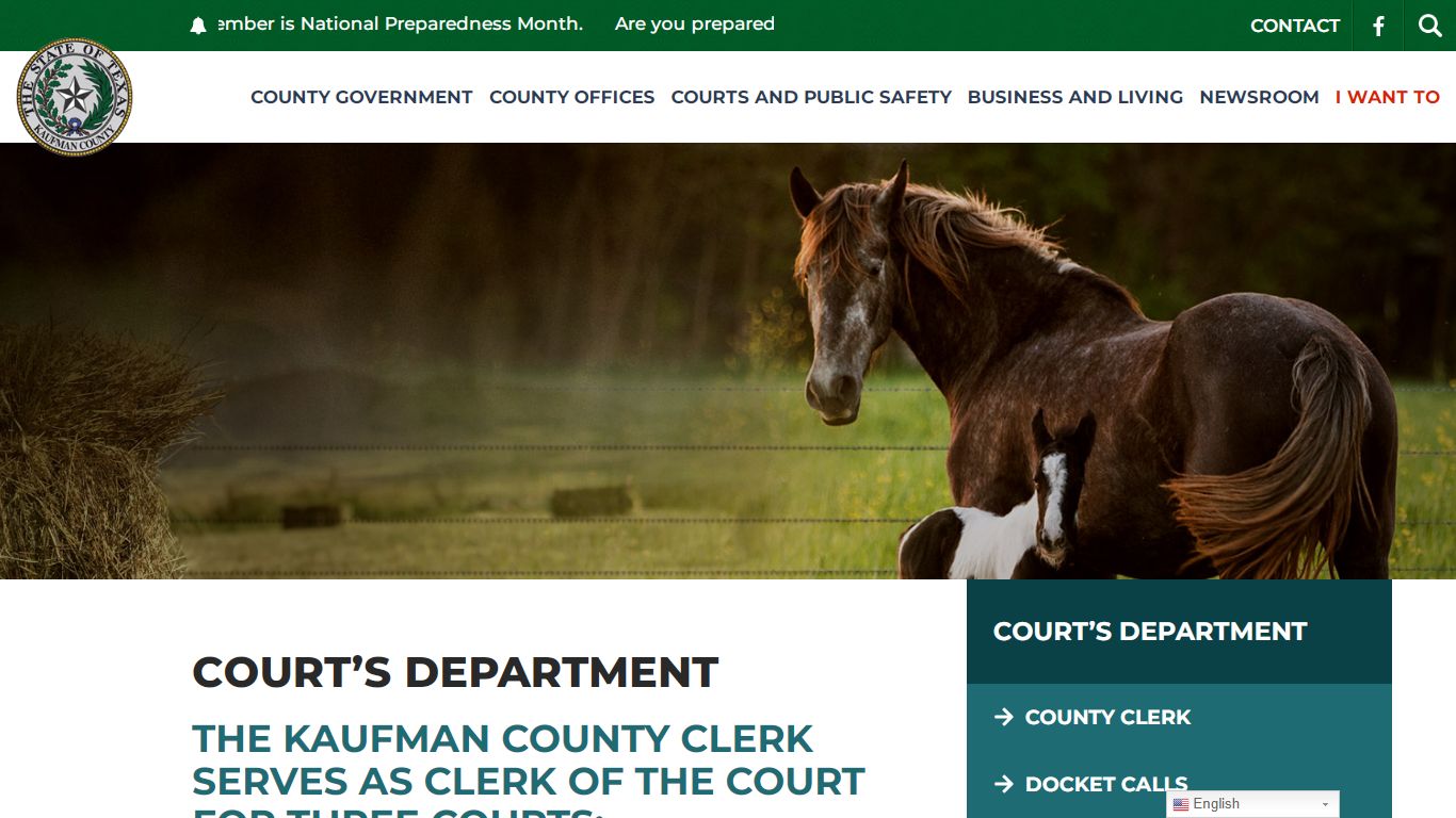 Court's Department | County Clerk - Kaufman County, Texas